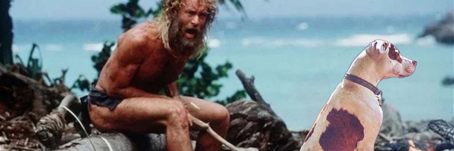 PittyBradly's profile banner image