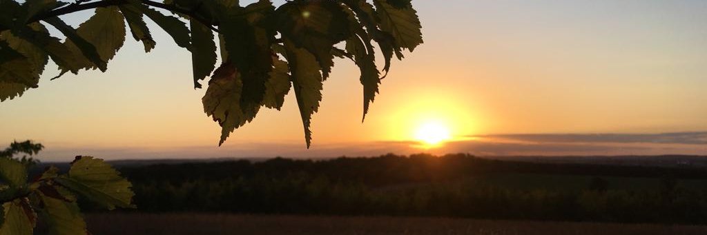 pamela_abbott's profile banner image