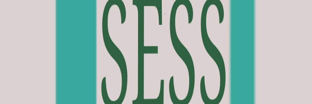 USESS2022's profile banner image