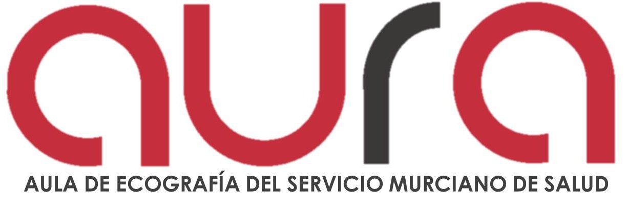 AURA Aula de ecografía SMS banner