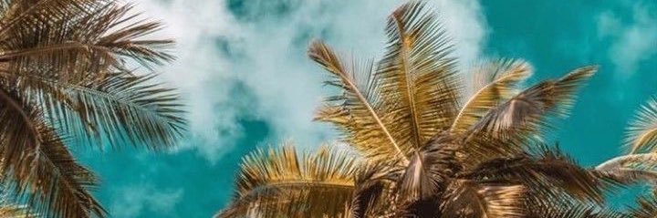 jigger88's profile banner image