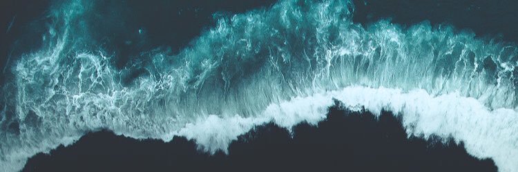 snook_olivia's profile banner image