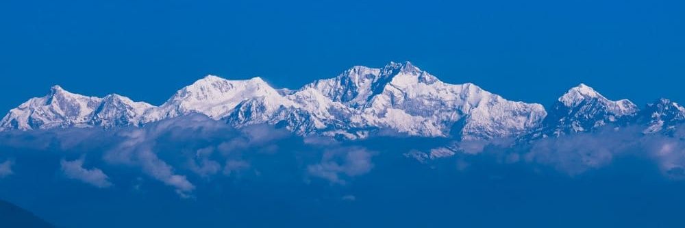 Jared Vennett banner