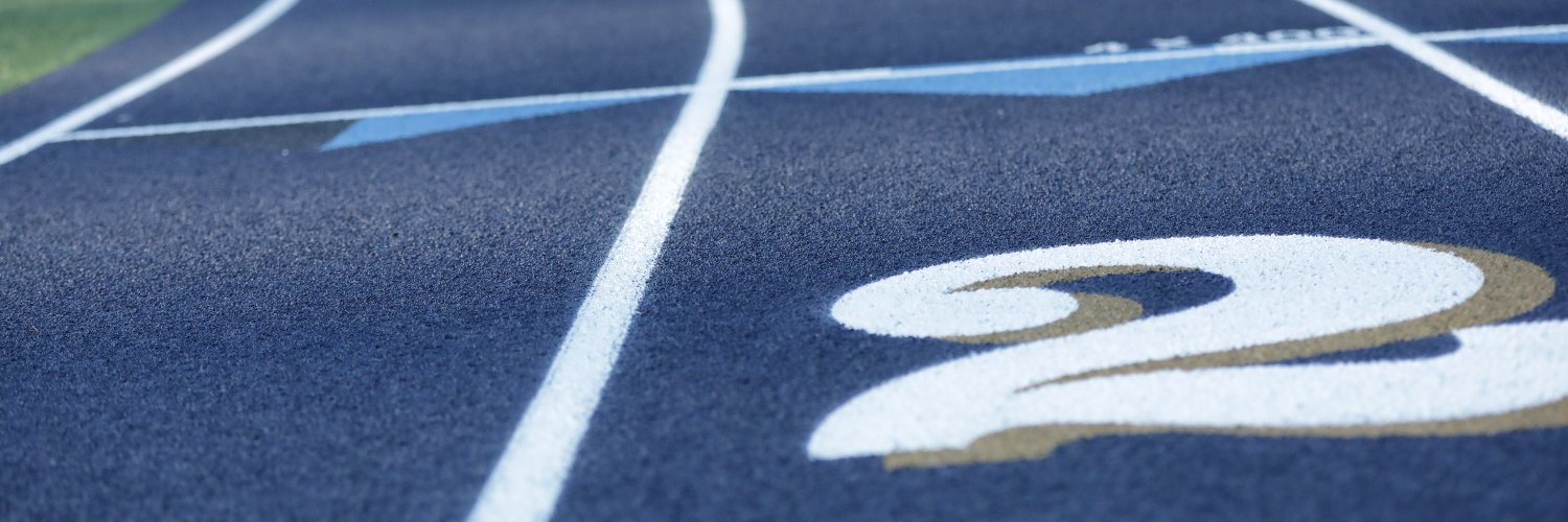 Marist Catholic High School banner