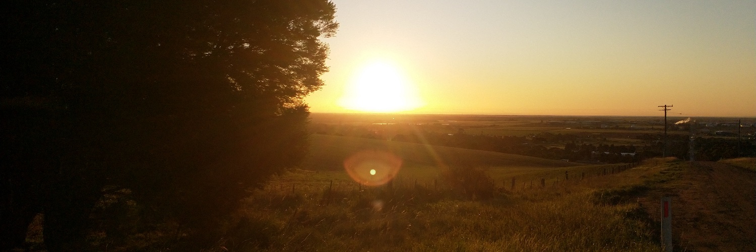 LG News Roundup banner