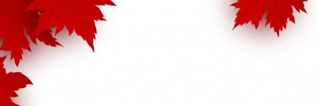 Duke's_Witch banner
