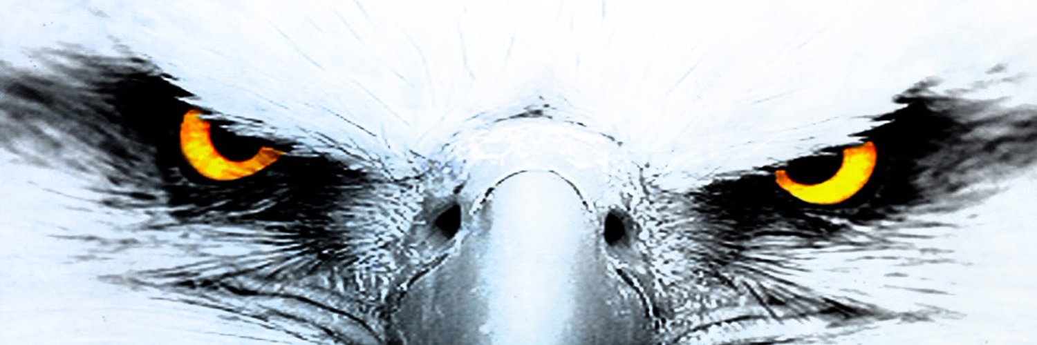 MikeC banner