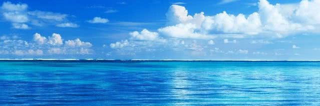 NickWilde_btm banner