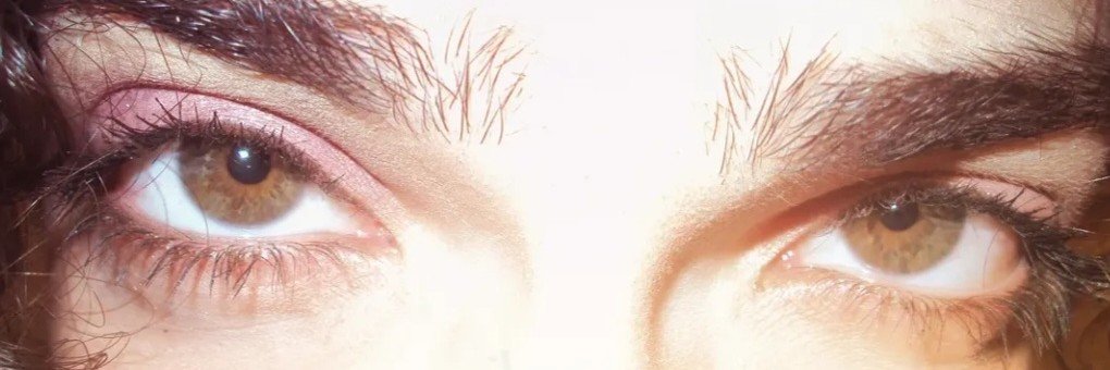 cucaistoasted's profile banner image