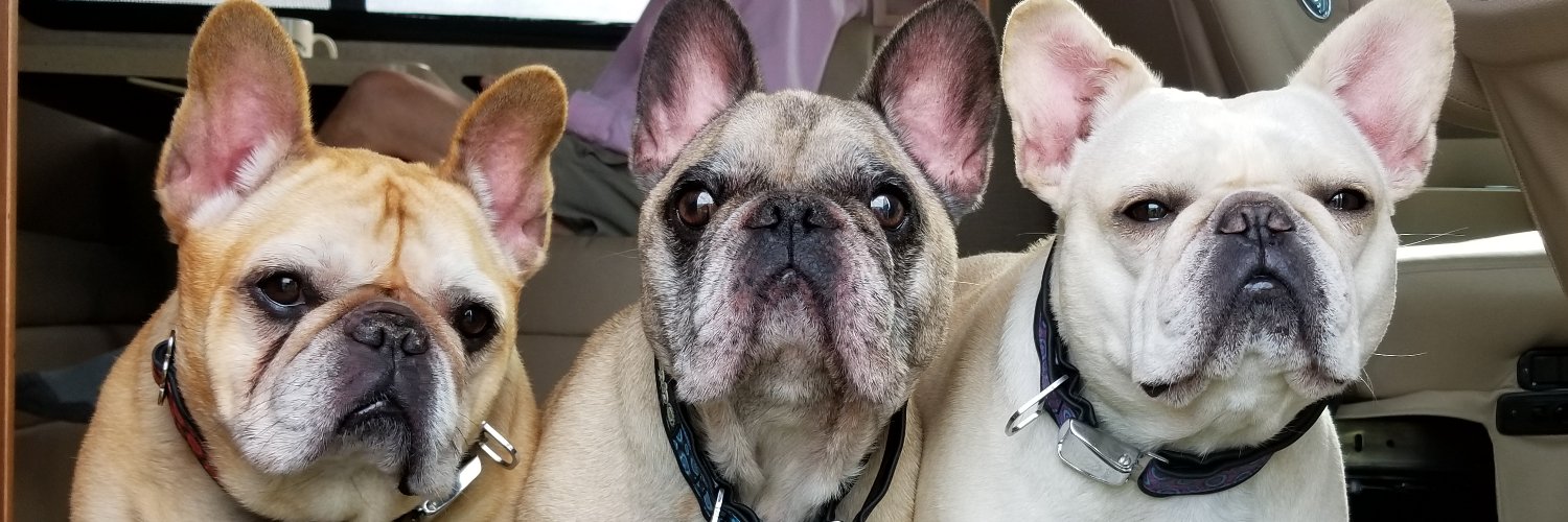sk8rrandy's profile banner image