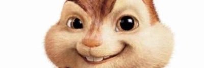 Beary🕊️ banner