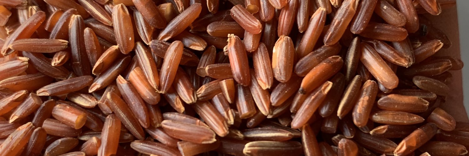 Tân Rice .fuel banner