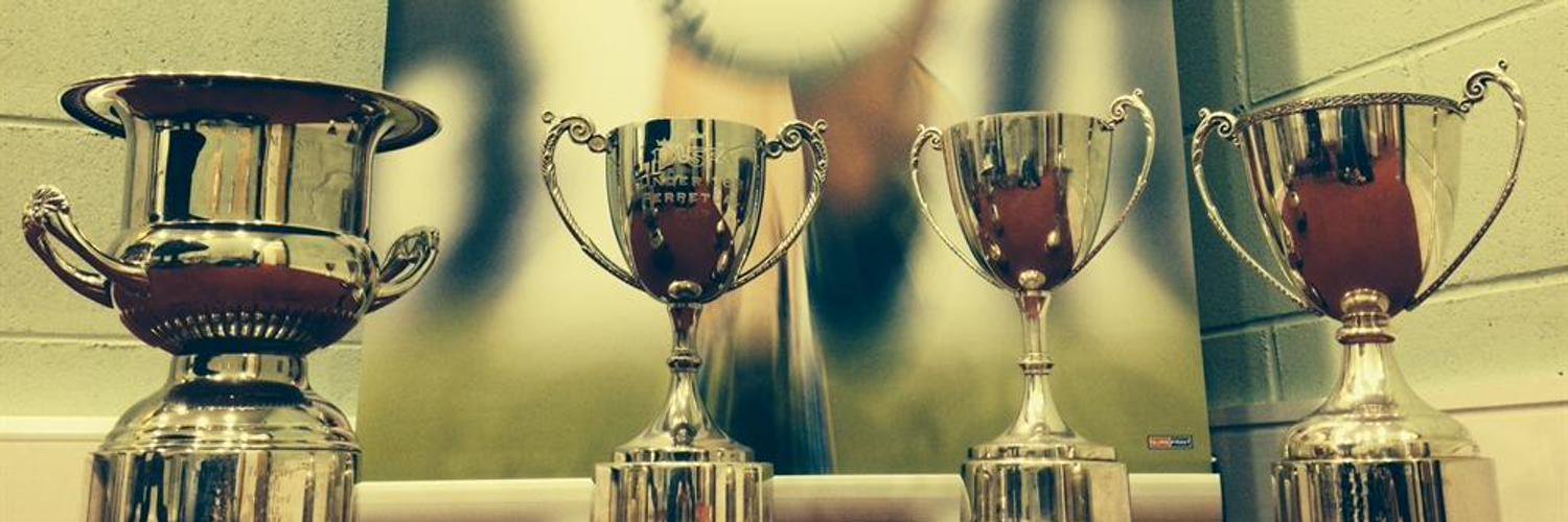 TippLadies's profile banner image