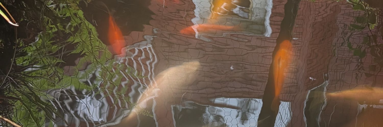 Isa9975's profile banner image