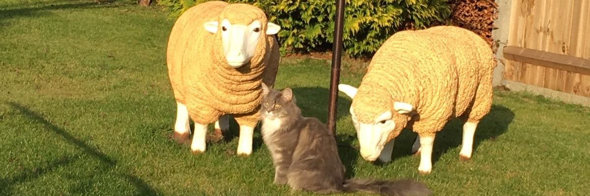 pnsharratt's profile banner image