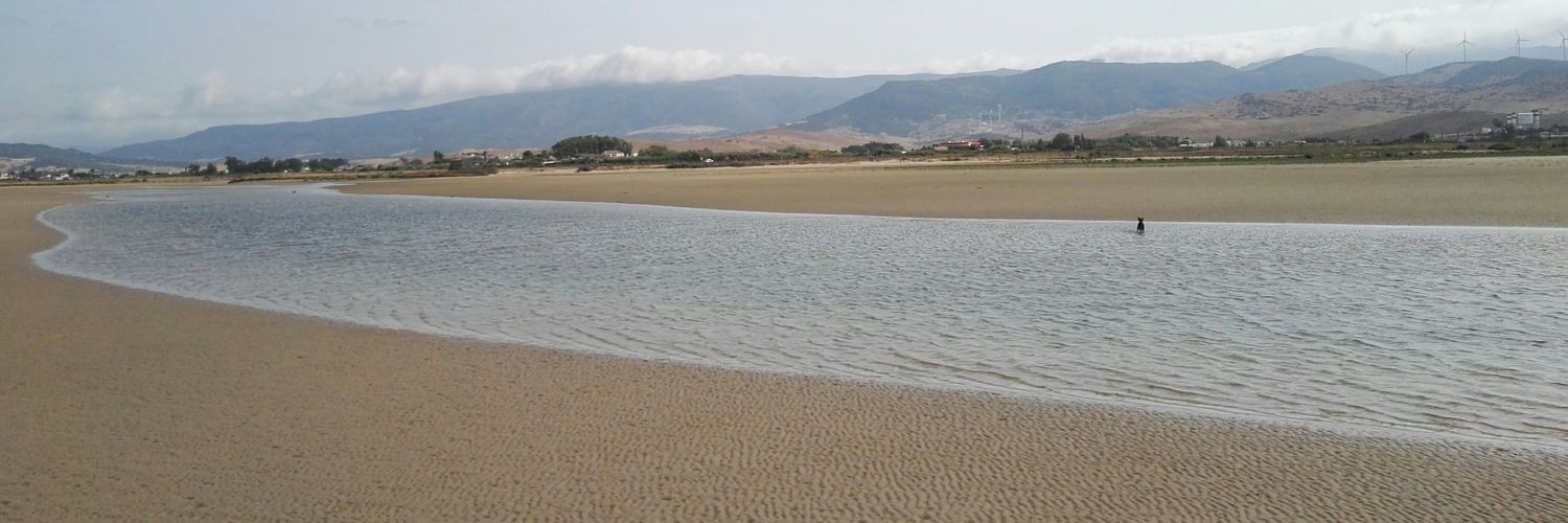 mariaselper's profile banner image