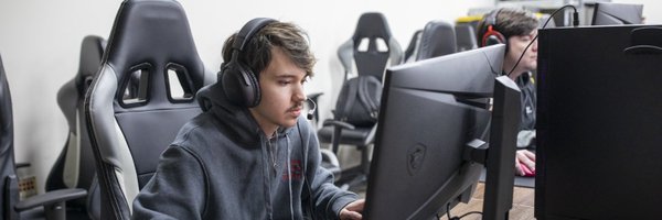 laddermoves1 Profile Banner