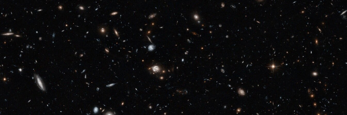 d_bot's profile banner image