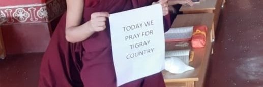 FreeTigray19's profile banner image