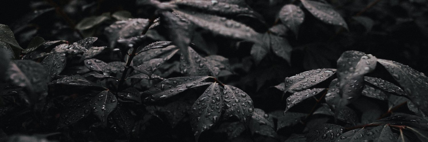 Gustavo Quadros 🇧🇷🏴‍☠️ banner