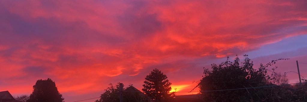 Dr Shand 🏴󠁧󠁢󠁳󠁣󠁴󠁿🇪🇺🇺🇦 banner