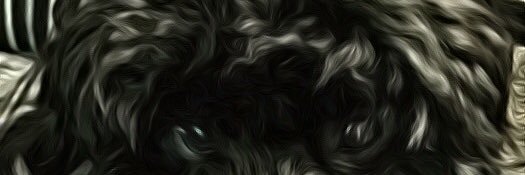mrssandranelson's profile banner image