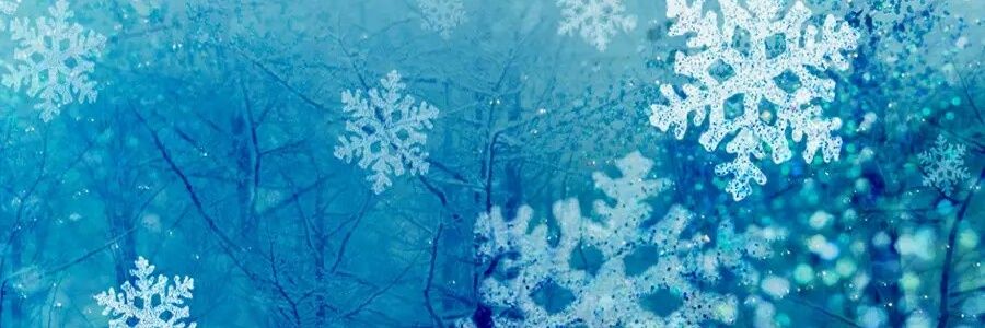syedanam08's profile banner image
