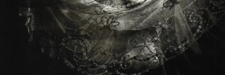 fallenacanthvs's profile banner image