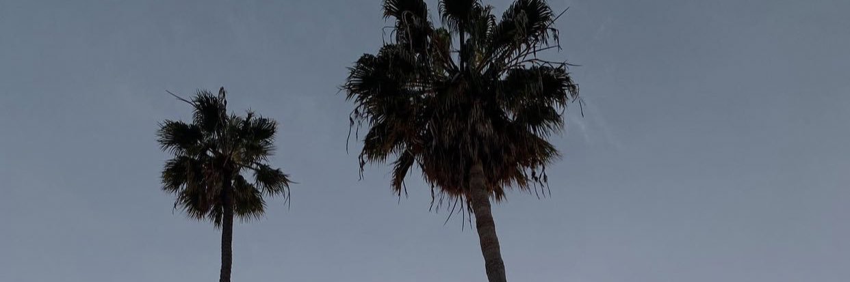 TessHawken's profile banner image