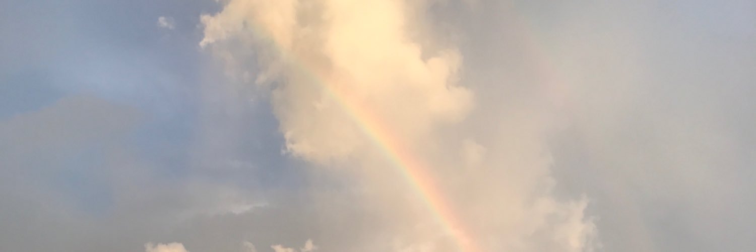 weiying_'s profile banner image
