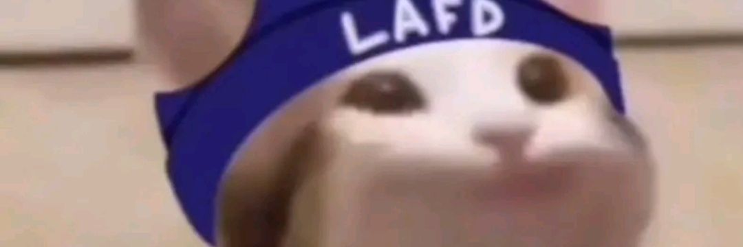 Anthony {He/They} banner