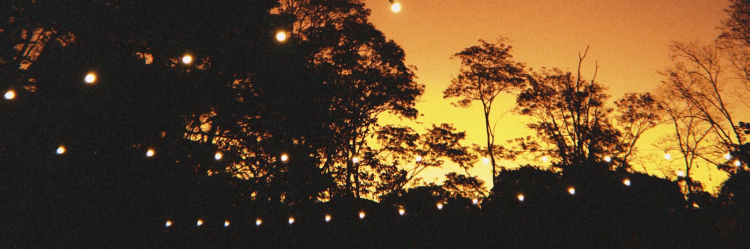 juliafust's profile banner image