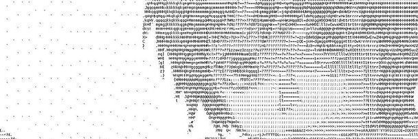 avarithhgrind's profile banner image