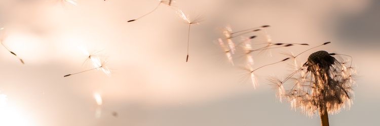 Put banner