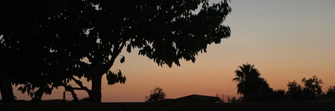 Xityy10's profile banner image