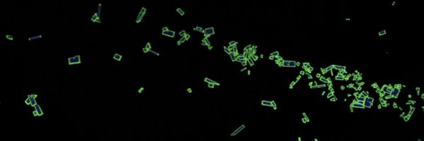 AlexSchleusener Profile Banner