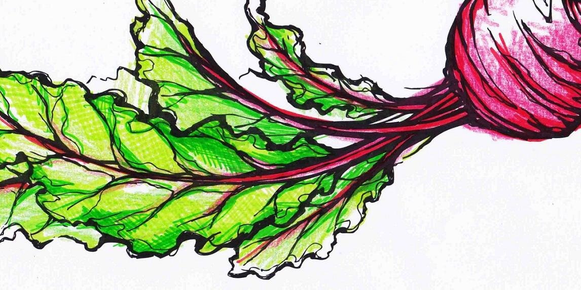 SmartnessNature's profile banner image