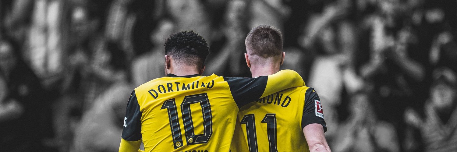 Dim_gs🇫🇷🇵🇱 #kovacout banner