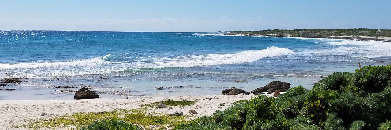 Peter "#LUKSO" 🆙 banner