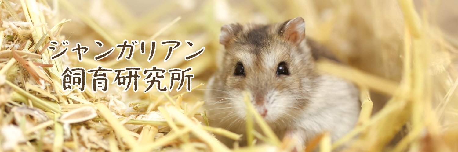 ジャンガリアン飼育研究所@所長:つん's banner