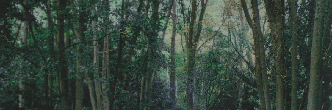 deannarvssi's profile banner image