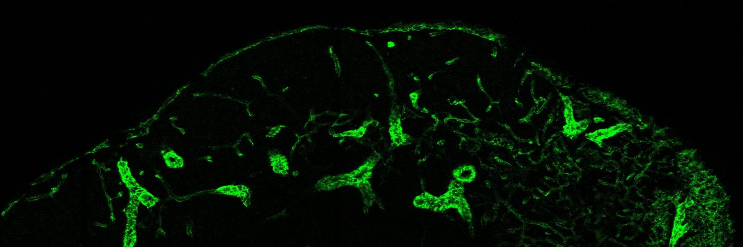 Research group of Professor Marko Salmi banner