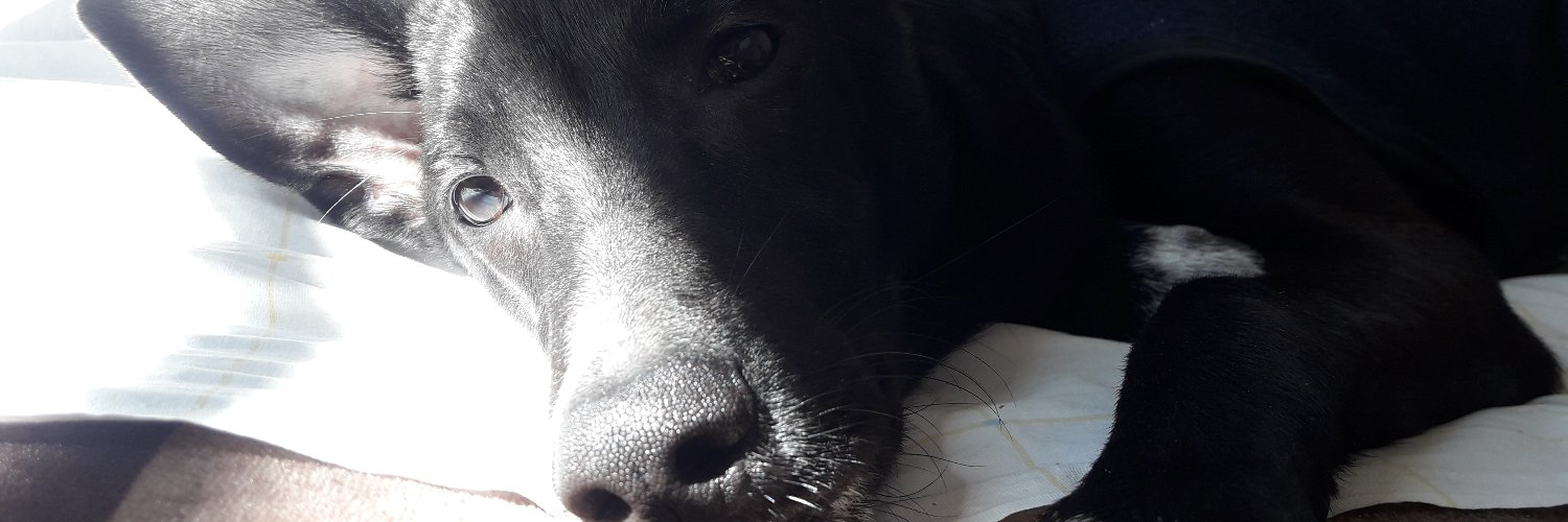 Julypericoppe's profile banner image