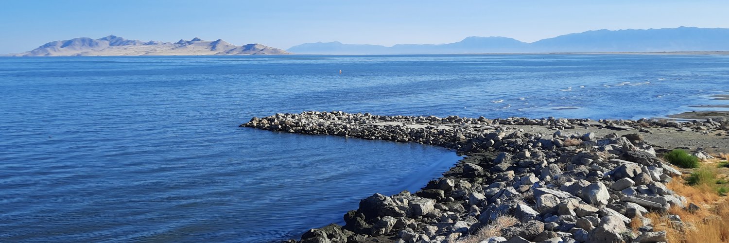 Elizabeth Weight banner