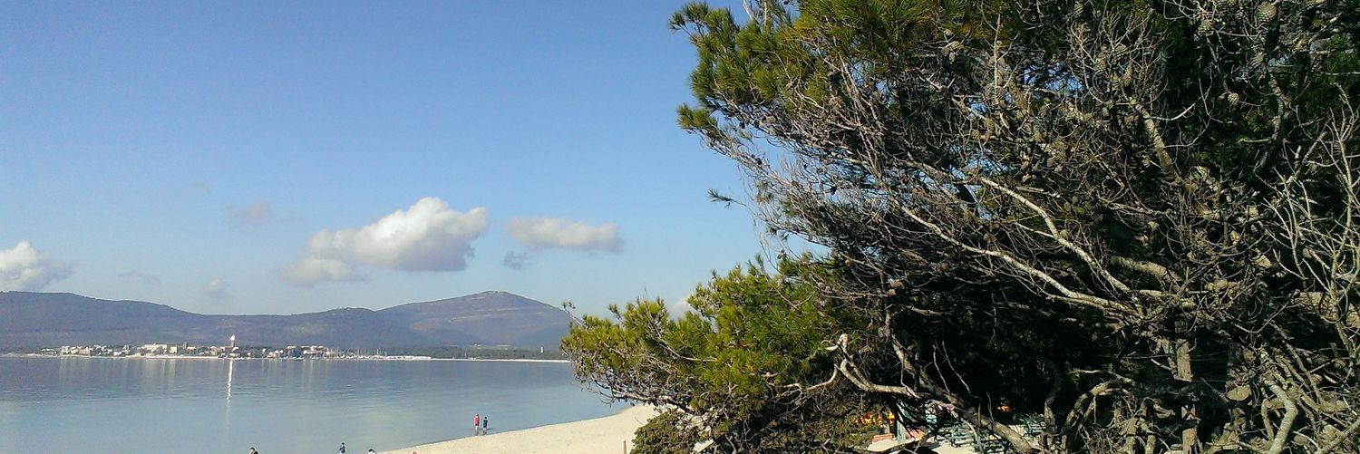 giuliocai's profile banner image