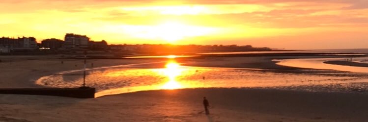 Heidi Sand-Hart banner