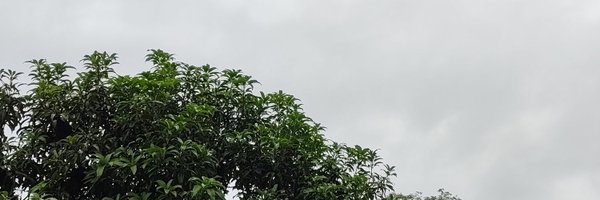 bneel14 Profile Banner
