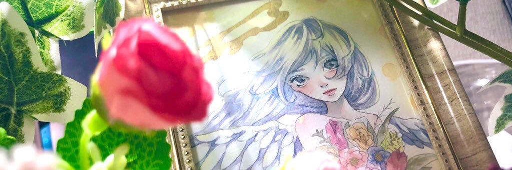 _vega_dia's profile banner image