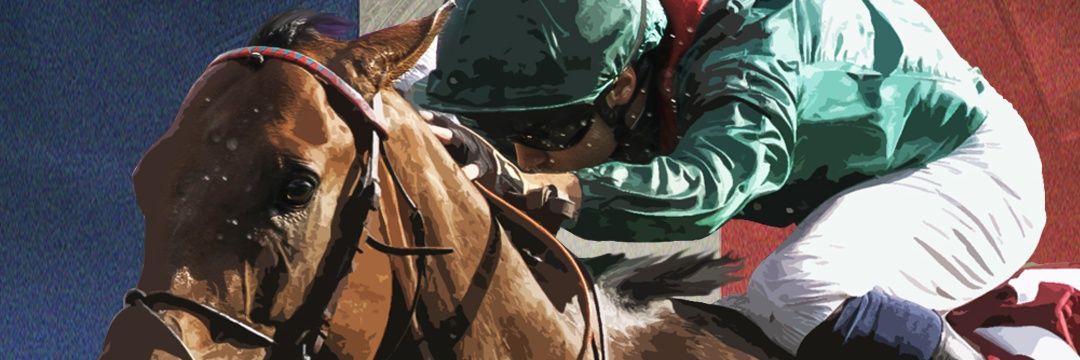 winvariation9's profile banner image