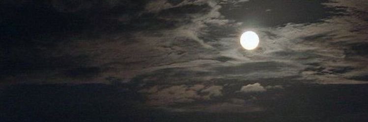 sa🗞️ banner